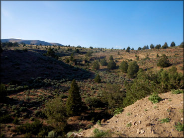 Rice Canyon OHV Area Trail