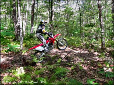 OHV doing a wheelie at Franklin Trails