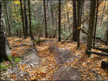 Nemadji State Forest Minnesota Motorcycle and ATV Trails