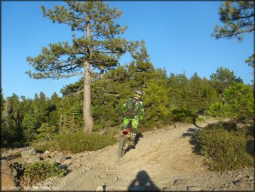 Honda CRF Off-Road Bike at Black Springs OHV Network Trail