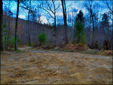 A scenic portion of an off-road trail in the woods.