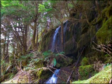 Scenic view of Noonday Trail