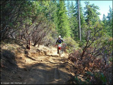 Honda CRF Dirtbike at Interface Recreation Trails