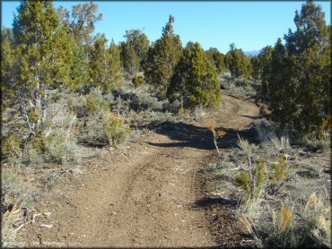 Terrain example at Ward Charcoal Ovens State Historic Park Trail