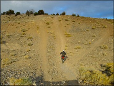 Honda CRF Motorcycle at Mount Seigel OHV Trails