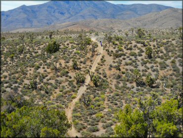 Pahrump Trail