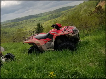 KingQuad 4x4 ATV Sitting in a Tall Grassy Field with a Scenic Background