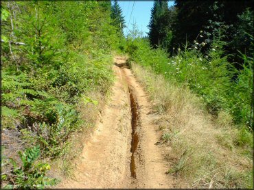 Low Pass Trail