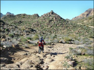 Honda CRF Dirt Bike at Bulldog Canyon OHV Area Trail