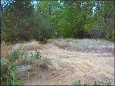 Example of terrain at Venango Park ATV Trail