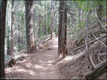 Honda CRF Dirt Bike at Elkins Flat OHV Routes Trail