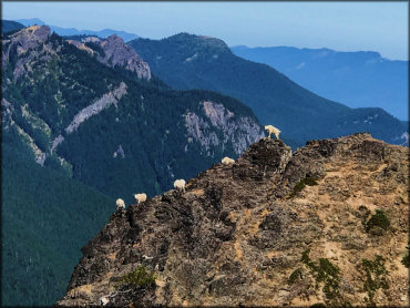 Gifford Pinchot Trail