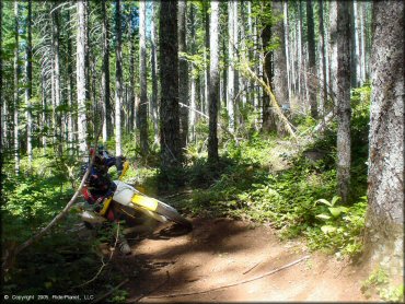 OHV at Upper Nestucca Motorcycle Trail System