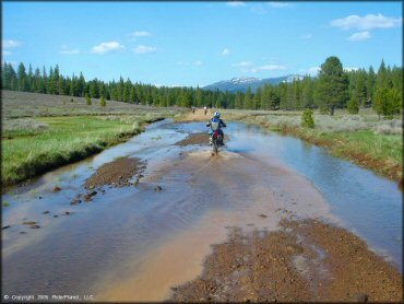 Honda CRF Dirt Bike crossing some water at Boca Reservoir Trail