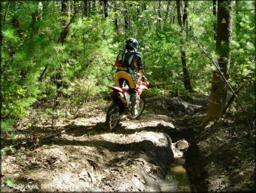 Honda CRF Motorcycle at Franklin Trails