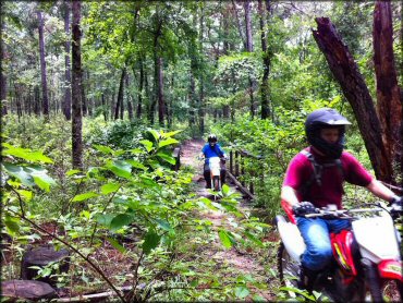 Two Honda dirt bikes crossing wooden bridge.