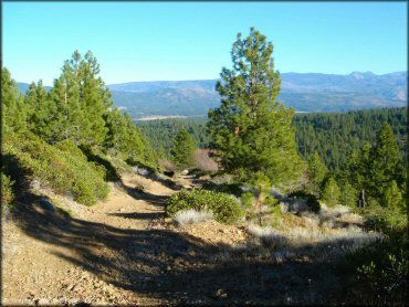 Scenery at Billy Hill OHV Route Trail