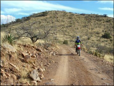 Female rider on a Honda CRF Off-Road Bike at Santa Rita OHV Routes Trail