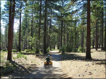 Honda ATV at South Camp Peak Loop Trail