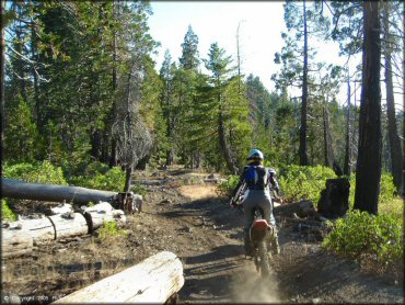 Honda CRF Trail Bike at Black Springs OHV Network Trail