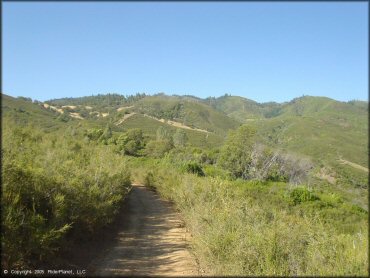 Terrain example at Penny Pines Trail