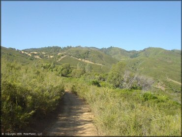 Some terrain at Penny Pines Trail