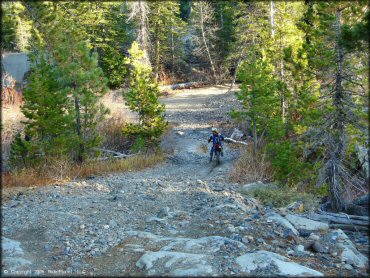 Honda CRF Motorcycle at Jackson Meadows Trail