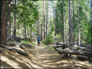 Honda CRF Dirt Bike at Corral OHV Trail