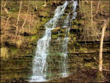 Tackett Creek Trails