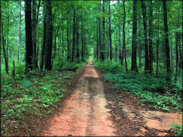 Parson's Mountain Recreation Area Trail