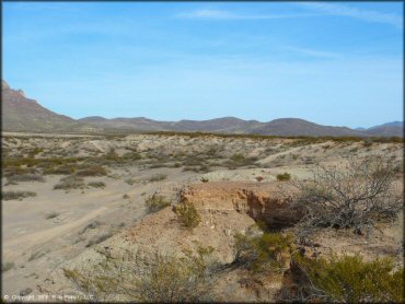 Scenery at Hot Well Dunes OHV Area