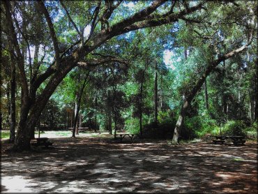 Photo of day use site a picnic tables under mature shade trees.