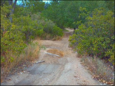 Example of terrain at Venango Park ATV Trail