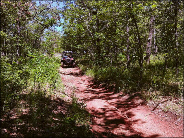 A side by side with spare tire in the back going through hardpacked trail.