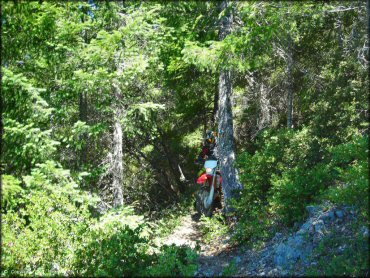 Female rider on a Honda CRF Dirt Bike at High Dome Trail