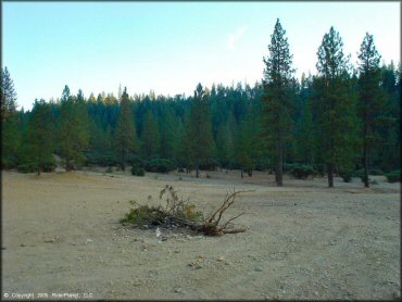 Scenic view of Greenhorn Trail