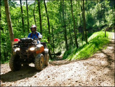 Buffalo Mountain ATV Trails