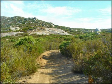 A scenic portion of the ATV trail surrounded by short bushes and scrub brush.
