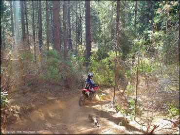 Honda CRF Motorcycle at Georgetown Trail