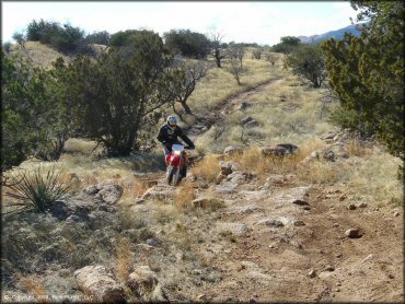 Honda CRF Motorcycle at Redington Pass Trail