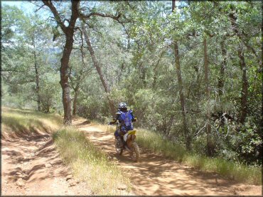 OHV at Mammoth Bar OHV OHV Area