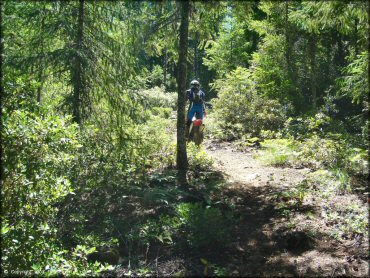 Girl riding a Honda CRF Dirtbike at High Dome Trail