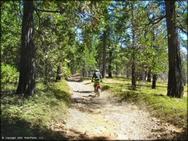 Honda CRF Motorcycle at Gold Note Trails