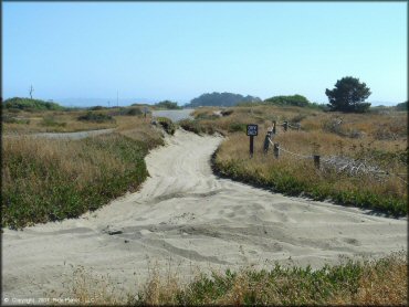 Terrain example at Samoa Sand Dunes OHV Area
