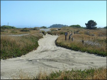 A trail at Samoa Sand Dunes OHV Area