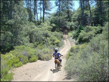 Honda CRF Dirt Bike at South Cow Mountain Trail