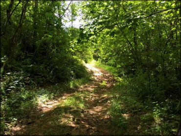 Lake Moco, LLC Riding Club Trail