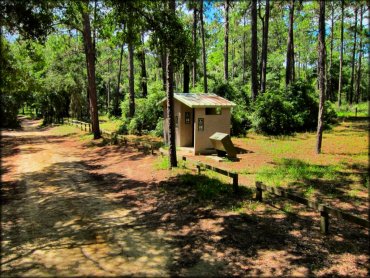 Ocala National Forest Sticker for Sale by park-land