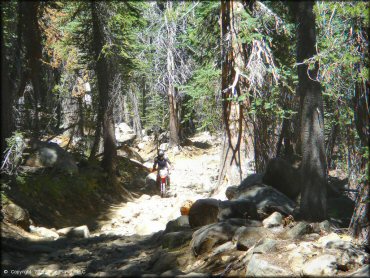 Honda CRF Off-Road Bike at Lower Blue Lake Trail