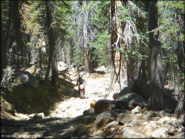 Honda CRF Motorcycle at Lower Blue Lake Trail